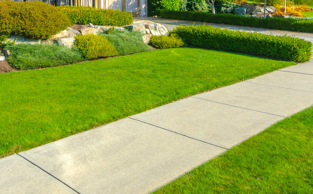 Why Footpaths Have Gaps Between Them